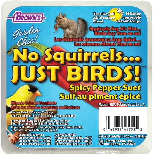 11.5 oz. F.M. Brown No Squirrels..Just Birds Suet - Treat